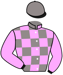 Casaque du n°1 — SANAWARI
