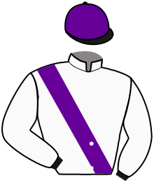 Casaque du n°13 — AUBERVILLE