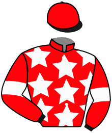 Casaque du n°4 — CHIVERE