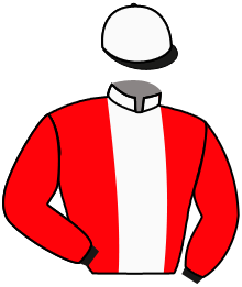 Casaque du n°5 — PICANES
