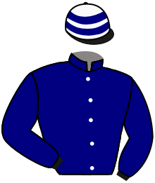 Casaque du n°13 — MELEAGRINE