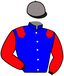 Casaque du n°4 — MOLLY DE GASCOGNE