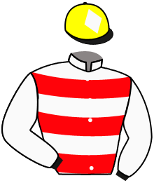 Casaque du n°3 — EPIFAGNA