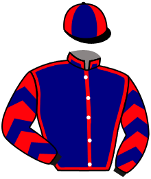 Casaque du n°4 — JOSTFAN
