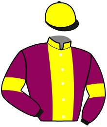 Casaque du n°8 — FADHEELAT MUSCAT