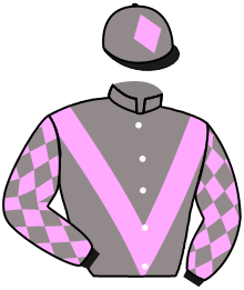 Casaque du n°2 — ALTXERRI