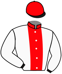 Casaque du n°3 — TEMIRI