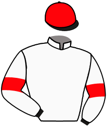 Casaque du n°1 — OVER GROUND