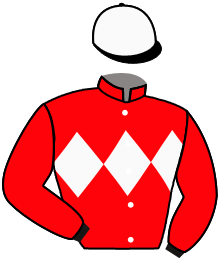 Casaque du n°5 — IVAWAI