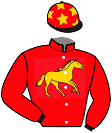 Casaque du n°6 — ALMARIS