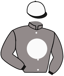 Casaque du n°9 — TELENO