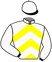 Casaque du n°5 — VILLEQUIER