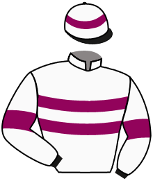 Casaque du n°1 — AMADEO