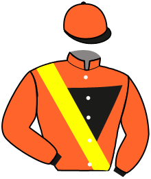 Casaque du n°4 — BANKHOVSKI