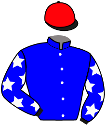 Casaque du n°10 — JOHORE