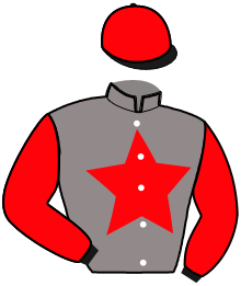 Casaque du n°13 — HUDSON BAIE