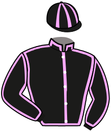 Casaque du n°3 — JAG DE BAULON