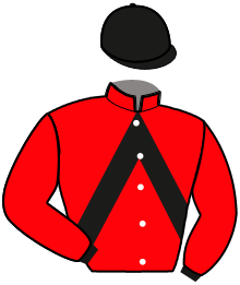 Casaque du n°4 — JACOTTE DE TIZE