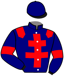 Casaque du n°6 — LABEL DE CHENU