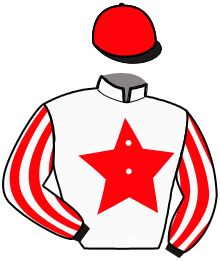 Casaque du n°11 — KARAIELLA BOND