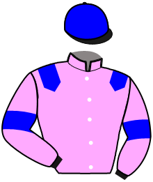 Casaque du n°10 — LAUREL