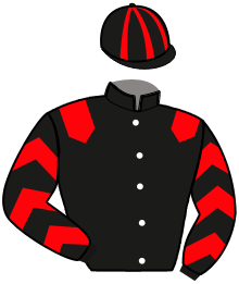 Casaque du n°13 — MEDIEVALE