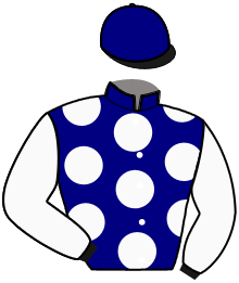 Casaque du n°11 — NOMINEE