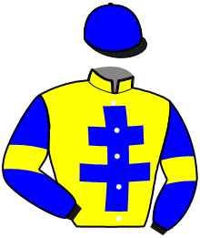 Casaque du n°5 — NIMES