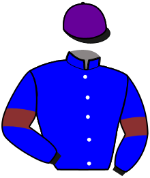 Casaque du n°10 — MAGIC ALOUETTE