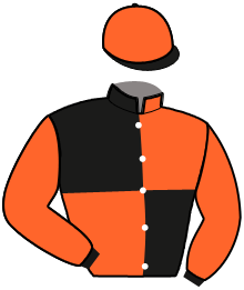 Casaque du n°2 — MISTRAL DES LUCAS