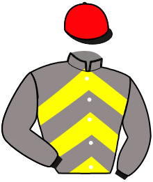 Casaque du n°5 — MARQUIS FORTIS