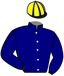 Casaque du n°12 — LIONEL DU DERBY