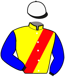 Casaque du n°15 — LENNY DU PONT