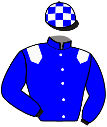 Casaque du n°5 — LOTUS JIEL