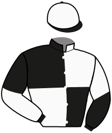 Casaque du n°8 — JUVAMINE RENARDIER