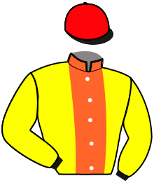 Casaque du n°4 — JURILOVCA