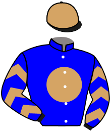Casaque du n°10 — WHO'S YOUR ZADDY