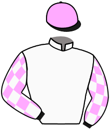 Casaque du n°6 — SHANGRALA ROAD