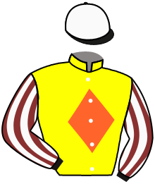 Casaque du n°8 — GUN BARREL CITY