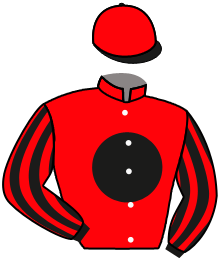 Casaque du n°8 — SHERIFF BIANCO