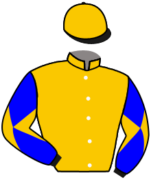 Casaque du n°8 — BRAMITO