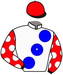 Casaque du n°6 — OTTO NIPOTI