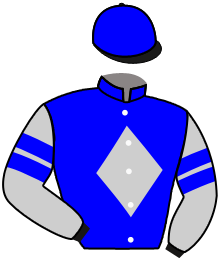 Casaque du n°11 — SPIRIT FORWARD