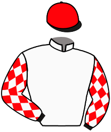 Casaque du n°1 — MADAME FAYETTE