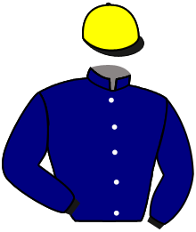 Casaque du n°10 — BLANCHE DE MEDICIS