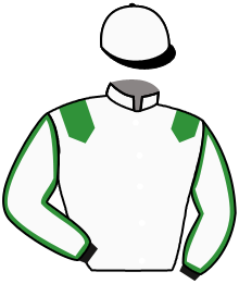 Casaque du n°7 — SANGOMAR