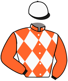 Casaque du n°9 — VILLANESQUE