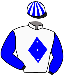 Casaque du n°1 — JAYCLE DE GREE