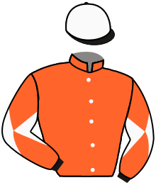Casaque du n°13 — NUMERUS BORGET