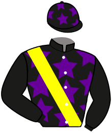 Casaque du n°14 — LESSARD